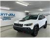 2019 Jeep Cherokee Trailhawk (Stk: 22222a) in Mont-Joli - Image 1 of 11