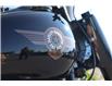 2020 Harley-Davidson Softail FATBOY 30th Anniversary (Stk: 2020HDFB) in Kingston - Image 13 of 17