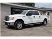 2012 Ford F-150 XLT (Stk: 10203T) in Kingston - Image 1 of 24