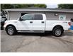 2012 Ford F-150 XLT (Stk: 10203T) in Kingston - Image 2 of 24