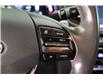 2018 Hyundai Ioniq EV SE (Stk: 10410) in Kingston - Image 25 of 33