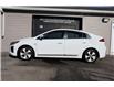 2018 Hyundai Ioniq EV SE (Stk: 10410) in Kingston - Image 2 of 33