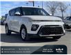 2022 Kia Soul EX (Stk: W1355) in Gloucester - Image 5 of 11