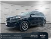 2019 Kia Sorento  (Stk: 6965A) in Gloucester - Image 1 of 36