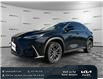 2023 Lexus NX 350h Base (Stk: W2001) in Gloucester - Image 1 of 35