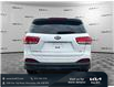 2017 Kia Sorento 2.4L LX (Stk: 6990A) in Gloucester - Image 4 of 36