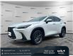 2023 Lexus NX 350h Base (Stk: W2031) in Gloucester - Image 1 of 37