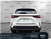 2023 Lexus NX 350h Base (Stk: W2031) in Gloucester - Image 4 of 37