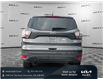 2017 Ford Escape SE (Stk: W1895A) in Gloucester - Image 4 of 36