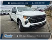 2026 Chevrolet Silverado 1500 Work Truck (Stk: 2624) in Powell River - Image 3 of 7