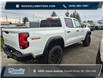 2026 Chevrolet Colorado Trail Boss (Stk: 2661) in Powell River - Image 4 of 6