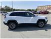 2019 Jeep Cherokee Trailhawk (Stk: 21245A) in Sherbrooke - Image 7 of 22