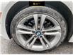 2018 BMW 330i xDrive (Stk: 245) in Ottawa - Image 6 of 25