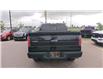 2014 Ford F-150  (Stk: T0037A) in Saskatoon - Image 4 of 24