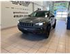2019 Jeep Cherokee Trailhawk (Stk: D5516A) in Saint-Nicolas - Image 1 of 21