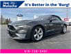 2019 Ford Mustang EcoBoost (Stk: 22208A) in Amherstburg - Image 1 of 17