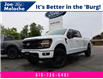 2024 Ford F-150 XLT (Stk: 25156A) in Amherstburg - Image 1 of 16