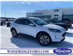 2021 Ford Escape SEL Hybrid (Stk: 18388) in Calgary - Image 1 of 22