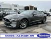 2019 Ford Mustang EcoBoost (Stk: P-1528A) in Calgary - Image 1 of 26