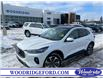 2024 Ford Escape Platinum (Stk: 19115) in Calgary - Image 1 of 24