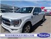 2021 Ford F-150 Platinum (Stk: S-802A) in Calgary - Image 1 of 29