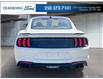 2021 Ford Mustang GT Premium (Stk: TN234B) in Kamloops - Image 4 of 32