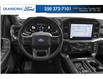 2021 Ford F-150 Lariat (Stk: PP035) in Kamloops - Image 4 of 11