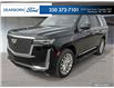 2021 Cadillac Escalade Premium Luxury (Stk: PP163) in Kamloops - Image 1 of 35