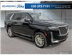 2021 Cadillac Escalade Premium Luxury (Stk: PP163) in Kamloops - Image 7 of 35