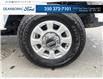 2023 Ford F-350 XLT (Stk: 25P075) in Kamloops - Image 6 of 26