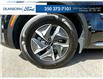 2022 Kia Sorento Hybrid LX (Stk: 5H0253A) in Kamloops - Image 6 of 24