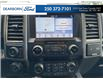 2019 Ford F-150 Raptor (Stk: T6041A) in Kamloops - Image 19 of 25