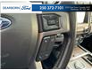 2019 Ford Expedition Platinum (Stk: N6065A) in Kamloops - Image 16 of 25