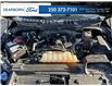 2023 Ford F-150 XLT (Stk: PS256) in Kamloops - Image 10 of 25
