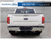 2019 Ford F-150 XLT (Stk: PS245) in Kamloops - Image 5 of 25