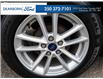 2015 Ford Focus SE (Stk: XS809AA) in Kamloops - Image 6 of 25