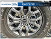 2025 Ford F-150 Tremor (Stk: MT173A) in Kamloops - Image 6 of 25