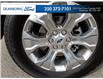 2021 Ford F-150 Platinum (Stk: PT046) in Kamloops - Image 6 of 25