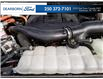 2021 Ford F-150 Platinum (Stk: PT046) in Kamloops - Image 10 of 25