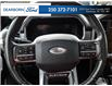 2021 Ford F-150 Platinum (Stk: PT046) in Kamloops - Image 14 of 25