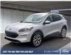 2020 Ford Escape Titanium Hybrid (Stk: PN178) in Kamloops - Image 1 of 33