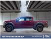 2019 Ford F-150 Raptor (Stk: 23P031) in Kamloops - Image 3 of 26