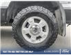 2014 Ford F-150 XLT (Stk: 23P194) in Kamloops - Image 6 of 26