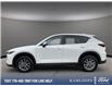 2025 Mazda CX-5 GS (Stk: P3830) in Kamloops - Image 3 of 25