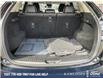 2025 Mazda CX-5 GS (Stk: P3831) in Kamloops - Image 12 of 25