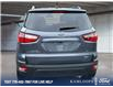2020 Ford EcoSport SE (Stk: PS067) in Kamloops - Image 4 of 34