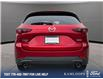 2025 Mazda CX-5 GS (Stk: P3834) in Kamloops - Image 5 of 25