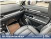 2025 Mazda CX-5 GS (Stk: P3834) in Kamloops - Image 25 of 25
