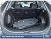 2022 Toyota RAV4 LE (Stk: P3838) in Kamloops - Image 12 of 25