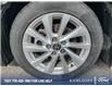 2023 Toyota Camry SE (Stk: P3836) in Kamloops - Image 6 of 24
